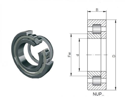 NUP208 E