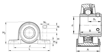 UCP205-100D1