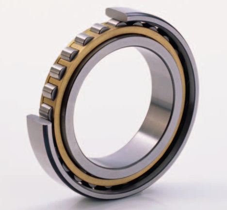 N1013-K-M1-SP bearing